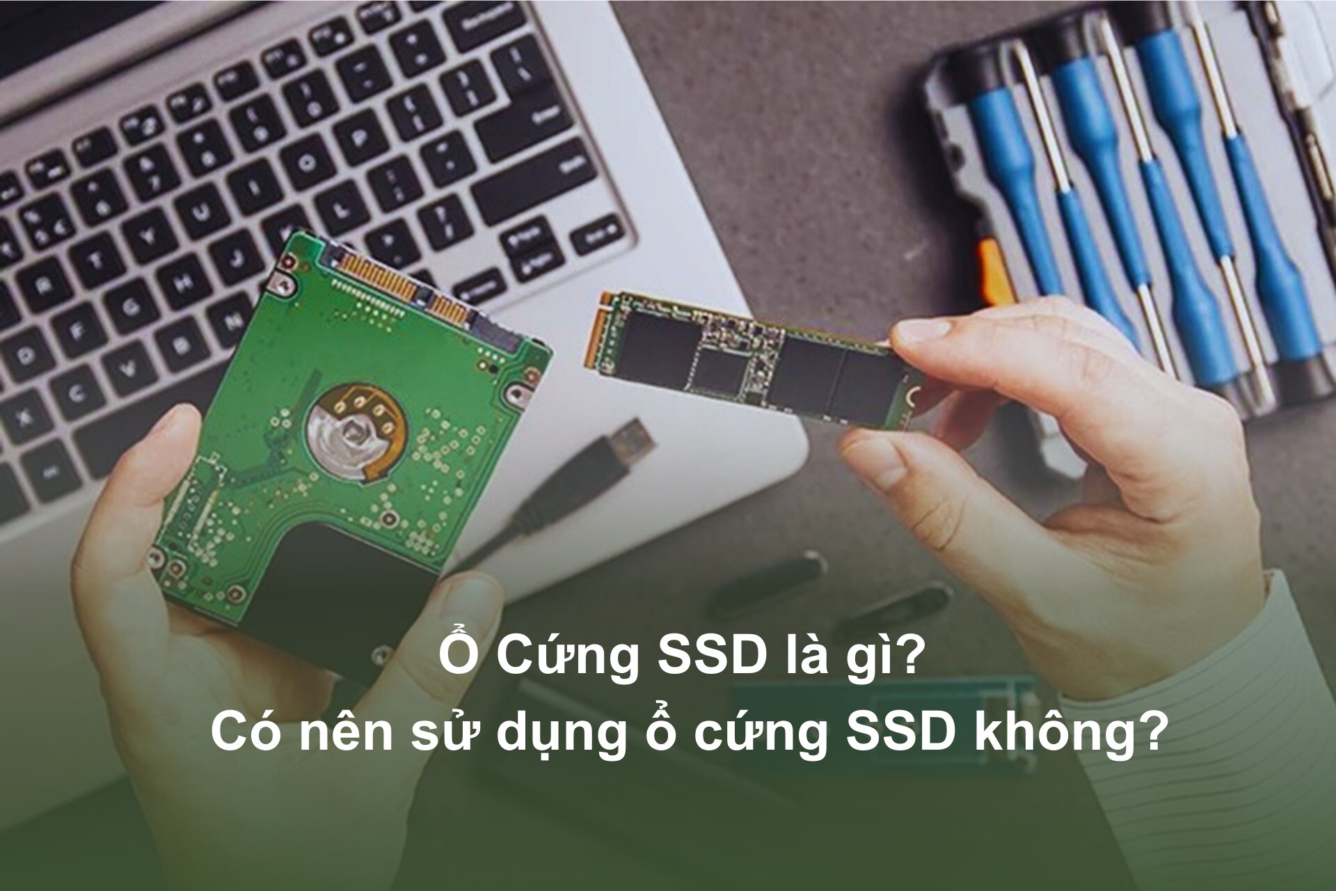 Ổ cứng SSD là gì? Có nên sử dụng ổ cứng SSD không?